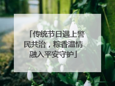 传统节日遇上警民共治，粽香温情融入平安守护