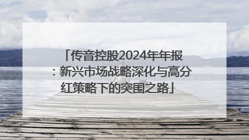 传音控股2024年年报：新兴市场战略深化与高分红策略下的突围之路