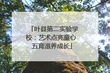 叶县第二实验学校：艺术点亮童心 五育滋养成长