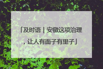 及时语｜安徽这项治理，让人有面子有里子