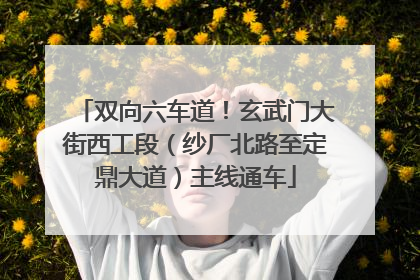 双向六车道！玄武门大街西工段（纱厂北路至定鼎大道）主线通车