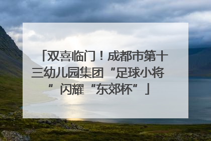 双喜临门！成都市第十三幼儿园集团“足球小将”闪耀“东郊杯”