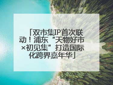 双市集IP首次联动！浦东“天物好市×初见集”打造国际化跨界嘉年华