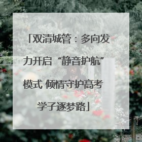 双清城管：多向发力开启“静音护航”模式 倾情守护高考学子逐梦路