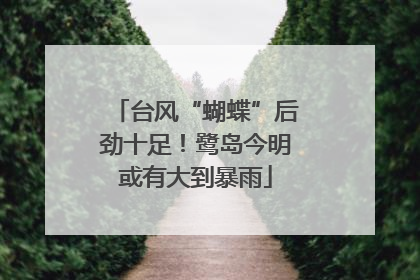 台风“蝴蝶”后劲十足！鹭岛今明或有大到暴雨