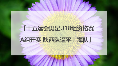十五运会男足U18组资格赛A组开赛 陕西队逼平上海队