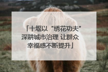 十堰以“绣花功夫”深耕城市治理 让群众幸福感不断提升