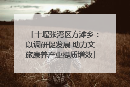 十堰张湾区方滩乡：以调研促发展 助力文旅康养产业提质增效