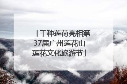 千种莲荷亮相第37届广州莲花山莲花文化旅游节