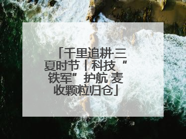 千里追耕·三夏时节丨科技“铁军”护航 麦收颗粒归仓