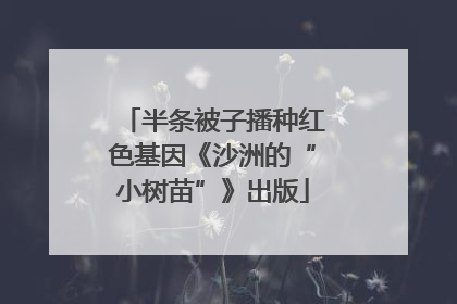 半条被子播种红色基因《沙洲的“小树苗”》出版