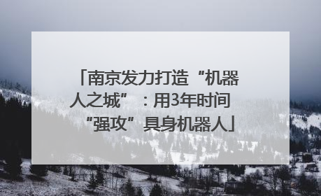 南京发力打造“机器人之城”：用3年时间“强攻”具身机器人