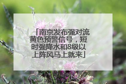 南京发布强对流黄色预警信号，短时强降水和8级以上阵风马上就来