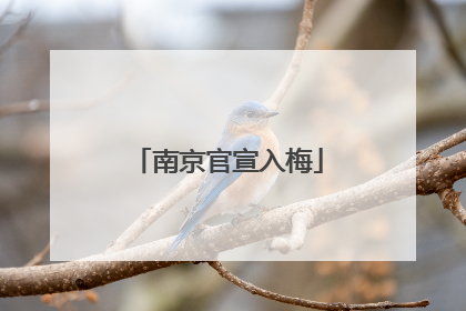 南京官宣入梅