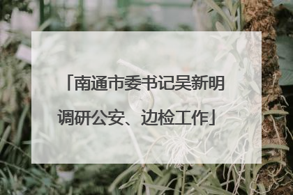 南通市委书记吴新明调研公安、边检工作