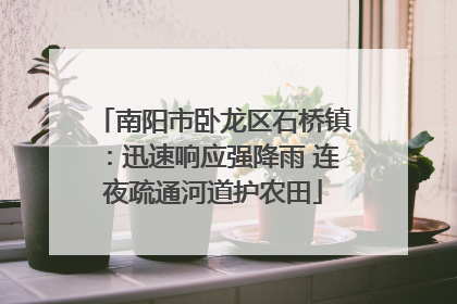 南阳市卧龙区石桥镇：迅速响应强降雨 连夜疏通河道护农田