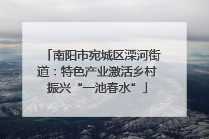 南阳市宛城区溧河街道：特色产业激活乡村振兴“一池春水”