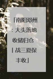 南阳邓州：大头落地 收储归仓丨战三夏保丰收