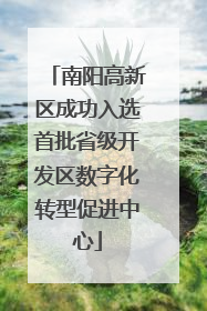 南阳高新区成功入选首批省级开发区数字化转型促进中心
