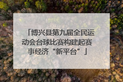 博兴县第九届全民运动会台球比赛构建起赛事经济“新平台”