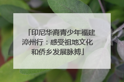印尼华裔青少年福建漳州行：感受祖地文化和侨乡发展脉搏