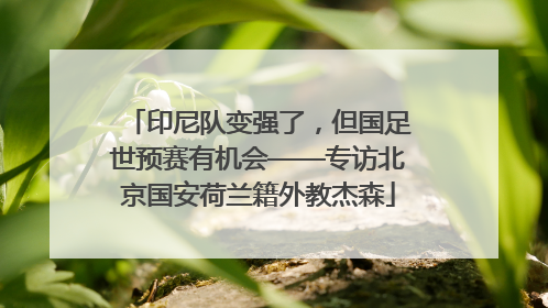 印尼队变强了，但国足世预赛有机会——专访北京国安荷兰籍外教杰森