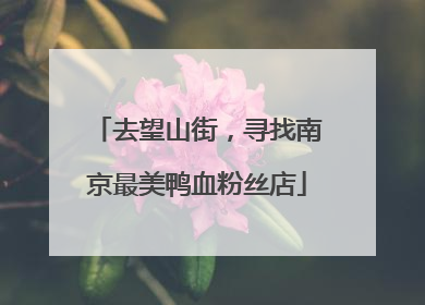 去望山街，寻找南京最美鸭血粉丝店