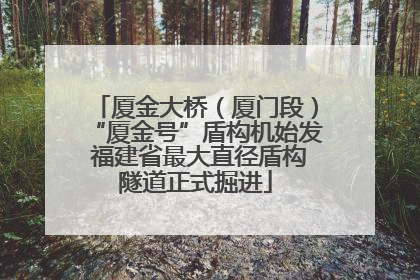 厦金大桥（厦门段）“厦金号”盾构机始发 福建省最大直径盾构隧道正式掘进