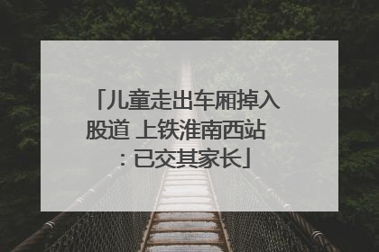 儿童走出车厢掉入股道 上铁淮南西站：已交其家长