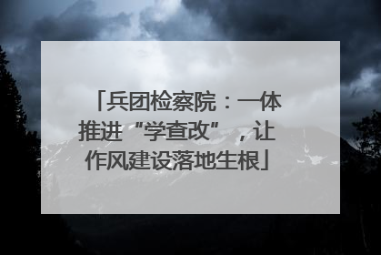 兵团检察院：一体推进“学查改”，让作风建设落地生根