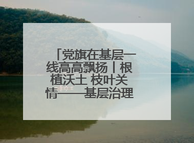 党旗在基层一线高高飘扬丨根植沃土 枝叶关情——基层治理中的先锋力量