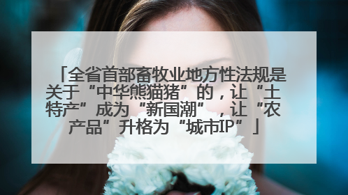 全省首部畜牧业地方性法规是关于“中华熊猫猪”的，让“土特产”成为“新国潮”，让“农产品”升格为“城市IP”