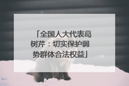 全国人大代表葛树芹：切实保护弱势群体合法权益