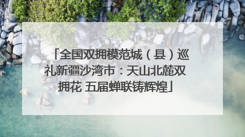 全国双拥模范城（县）巡礼新疆沙湾市：天山北麓双拥花 五届蝉联铸辉煌