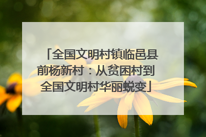 全国文明村镇临邑县前杨新村：从贫困村到全国文明村华丽蜕变
