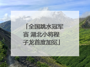 全国跳水冠军赛 湖北小将程子龙首度加冕