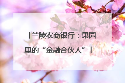 兰陵农商银行：果园里的“金融合伙人”