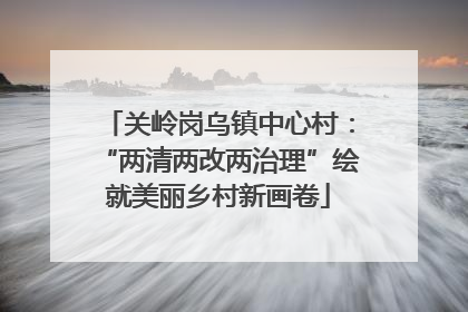 关岭岗乌镇中心村：“两清两改两治理”绘就美丽乡村新画卷