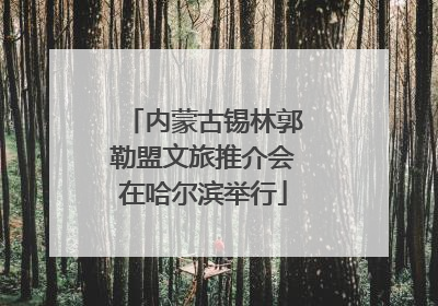 内蒙古锡林郭勒盟文旅推介会在哈尔滨举行