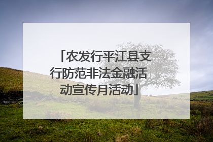 农发行平江县支行防范非法金融活动宣传月活动