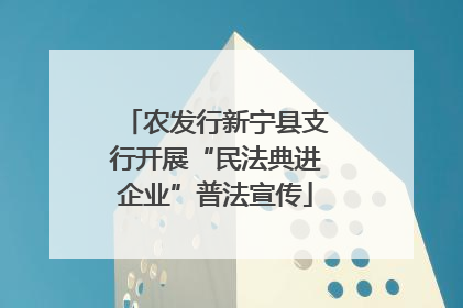 农发行新宁县支行开展“民法典进企业”普法宣传