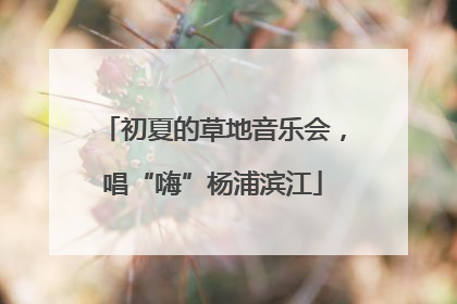 初夏的草地音乐会，唱“嗨”杨浦滨江
