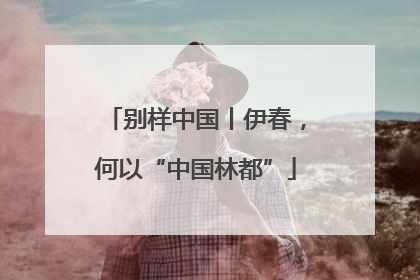 别样中国丨伊春，何以“中国林都”
