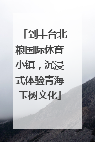 到丰台北粮国际体育小镇，沉浸式体验青海玉树文化