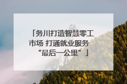 务川打造智慧零工市场 打通就业服务“最后一公里”