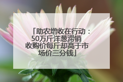 助农增收在行动：50万斤洋葱滞销 收购价每斤却高于市场价三分钱