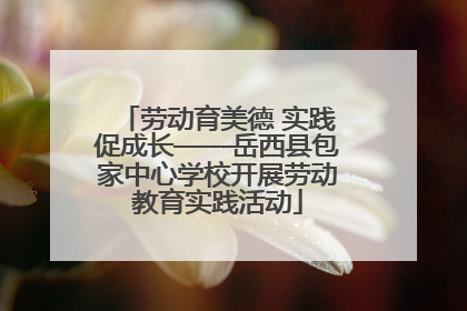 劳动育美德 实践促成长——岳西县包家中心学校开展劳动教育实践活动