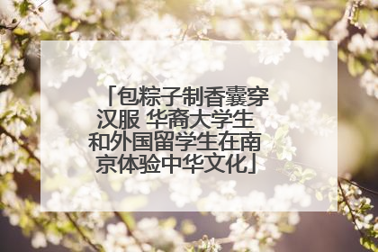 包粽子制香囊穿汉服 华裔大学生和外国留学生在南京体验中华文化