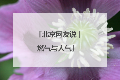 北京网友说｜燃气与人气