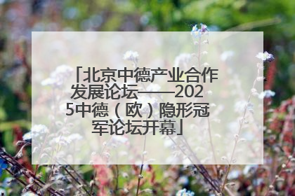 北京中德产业合作发展论坛——2025中德（欧）隐形冠军论坛开幕